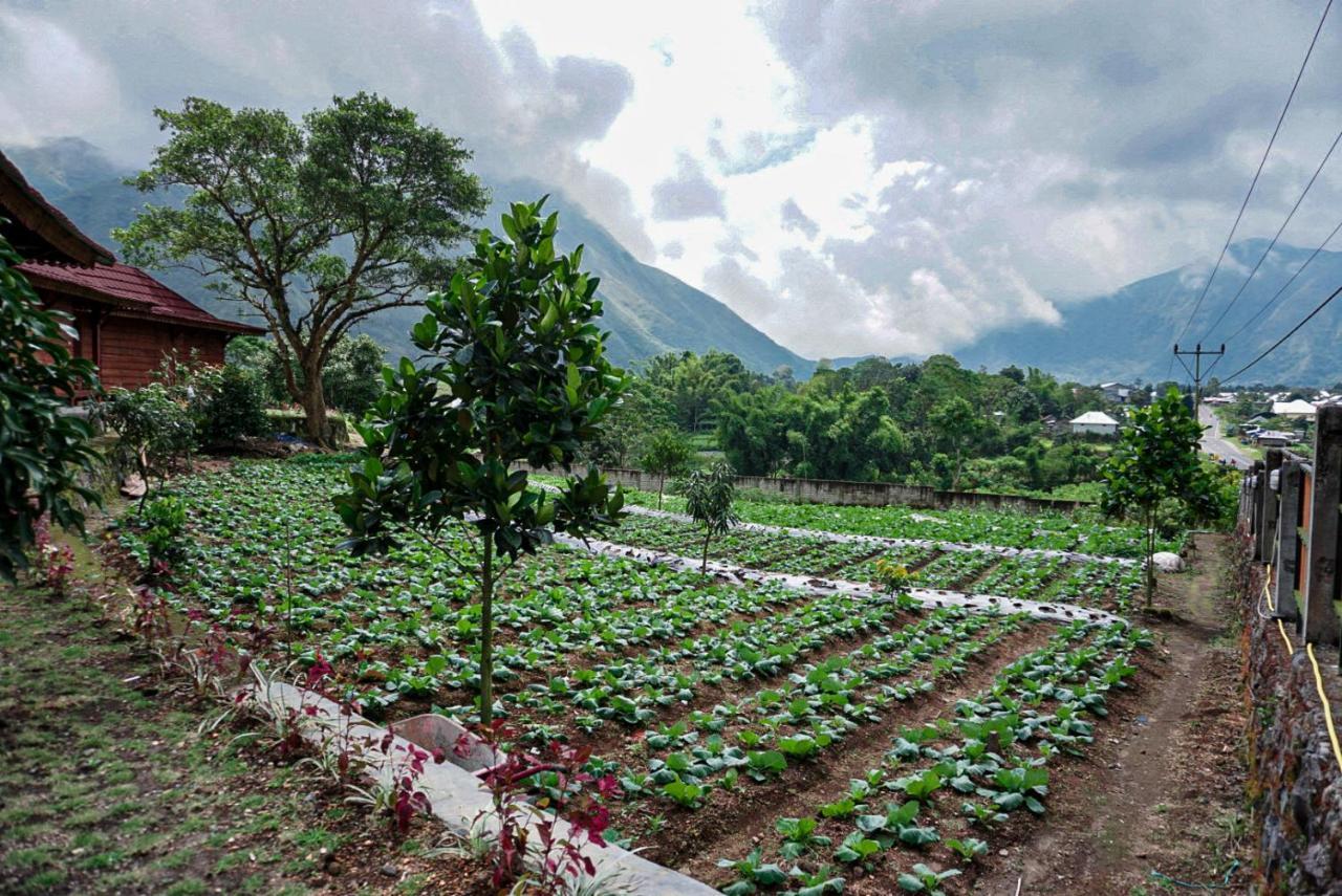 Rinjani Hill Hotel سيمبالون لوانج المظهر الخارجي الصورة