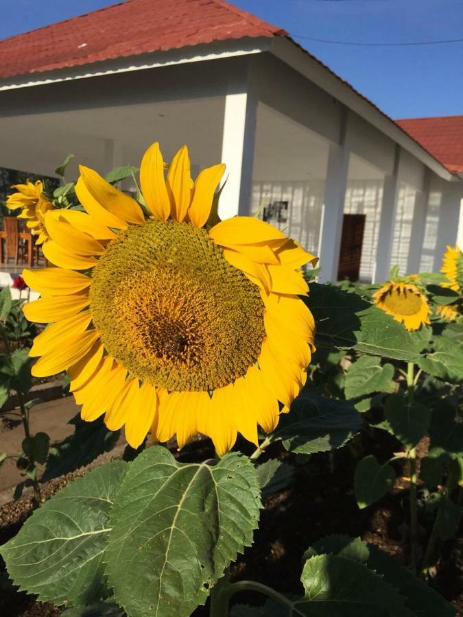 Rinjani Hill Hotel سيمبالون لوانج المظهر الخارجي الصورة