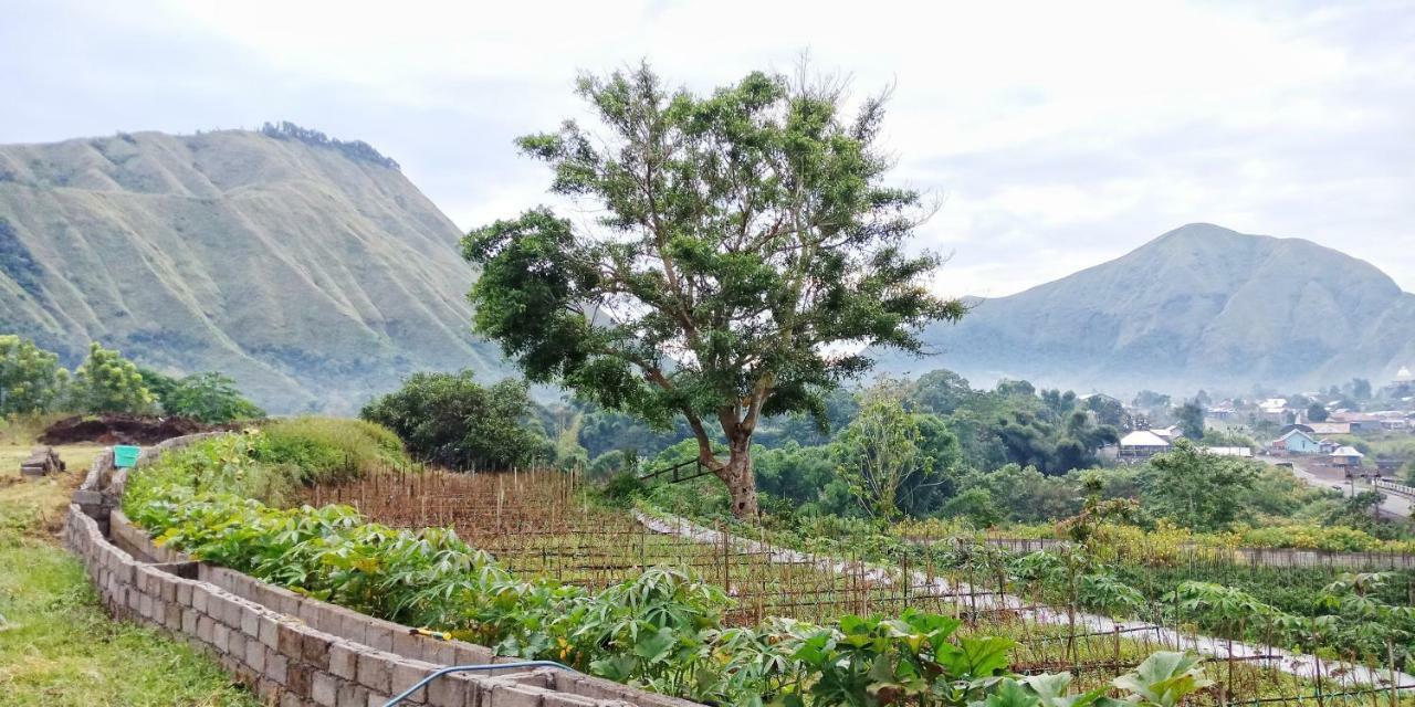 Rinjani Hill Hotel سيمبالون لوانج المظهر الخارجي الصورة